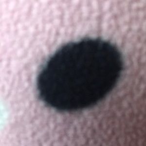 Meet your Posher, Jane